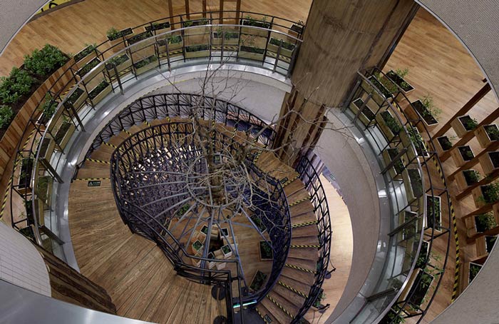 特色生態餐廳轉梯裝修設計效果圖