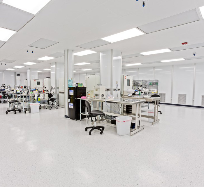 潔凈廠房工作區裝修設計效果圖